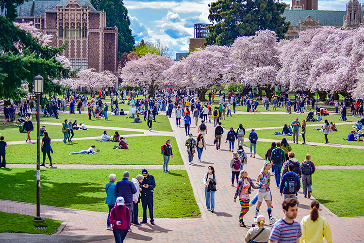 UW students walk across the Quad during the spring quarter.
