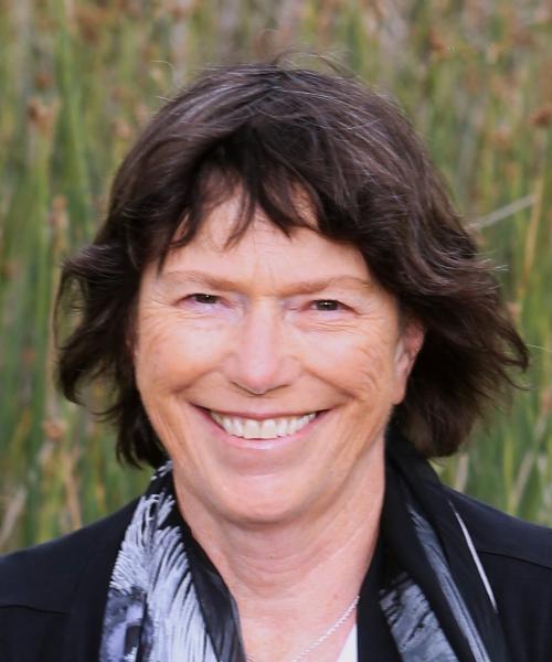 Susan Nolen head shot